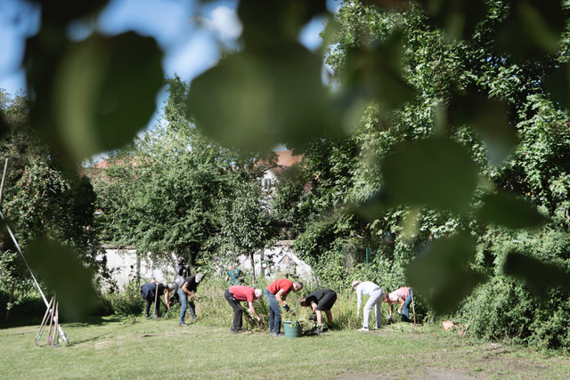 Rückblick. Die Arbeitsgruppe im Grünen.